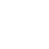 Security Guard
